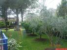 Jardin 2