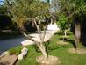 jardin general